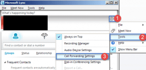 Grant delegate access to a user in lync 2010/2013 Grant delegate access to a user in lync 2010/2013