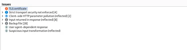 Exchange 2019:- running burpsuite against your server to identify potential issues Exchange 2019:- running burpsuite against your server to identify potential issues