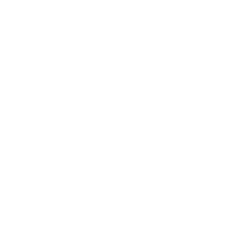 Windows Windows